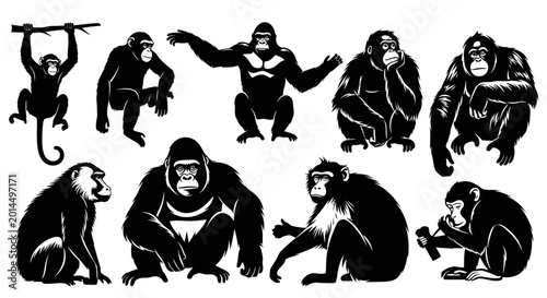 Photography Collection of Diverse Monkey and Ape Silhouettes in Various Poses
