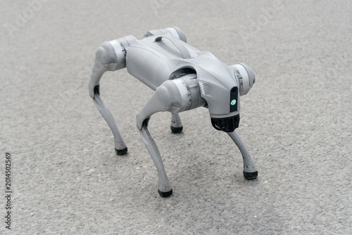 Obraz na plátne grey robot dog in city street, entertainment for kids, amusement, modern robotic