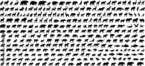 Photography Mega, collection, of, wild, animal, silhouettes, featuring, mammals, birds, fish, bears, deer, elephants, giraffes, lions, tigers, wolves, horses, dogs, cats, nature, wildlife, icons, set
