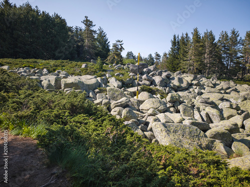 Spring Panorama of Vitosha Mountain, Bulgaria