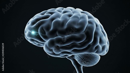 CGI Visualization of Human Brain Highlighting Prefrontal Cortex Underactivity in Dark Background for Educational and Medical Use