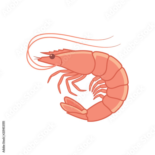 Flat Vector Illustration of a Cooked Pink Shrimp Isolated on White Background for Seafood Menu and Culinary Design