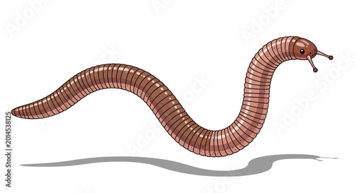 Illustration of a brown earthworm crawling.