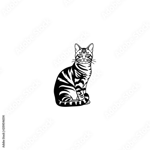 Black and White Sitting Tabby Cat Vector Illustration