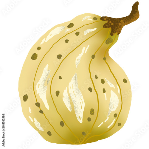 pumpkin