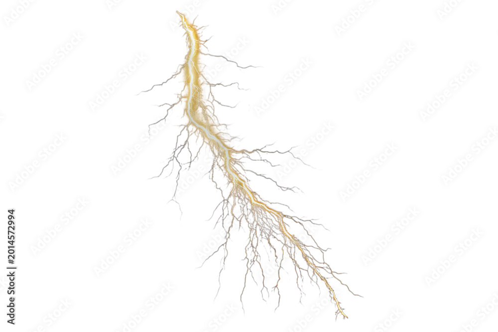 Fototapeta premium Dried leaf with branches isolated on transparent background