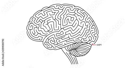 Cuadro en lienzo Brain Maze - Cognitive Puzzle and Mental Challenge