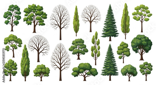 Foto Collection of diverse trees in various shapes and sizes.