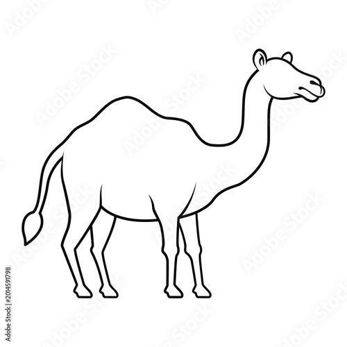 Line art style camel illustration