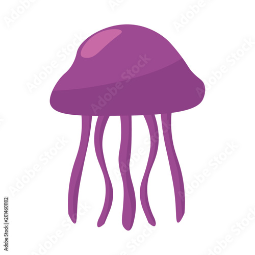 Sea Animal Illustration