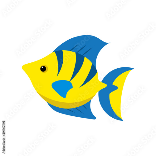 Sea Animal Illustration