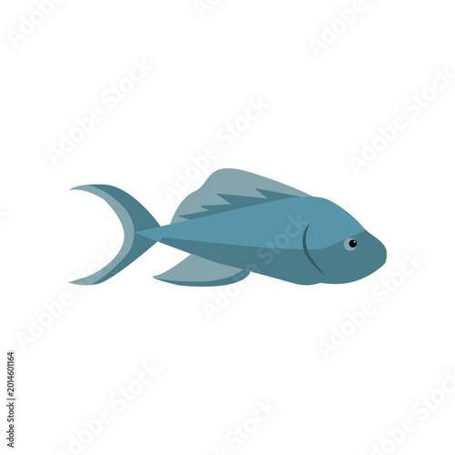 Sea Animal Illustration