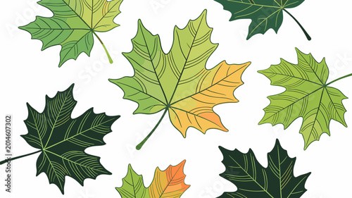 Cuadro en lienzo A collection of stylized maple leaves in various shades of green, yellow, and orange, set against a white background