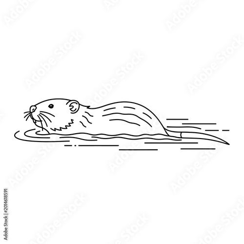 Line drawing of a swimming rodent in the water, simple illustration.
