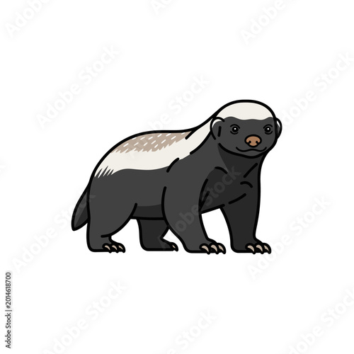 Cartoon illustration of a honey badger isolated on a white background.