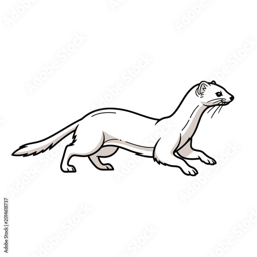 Cartoon illustration of a white stoat running across a white background.
