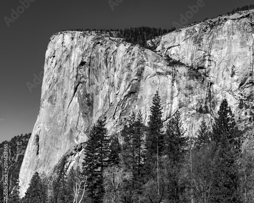 Tableau sur toile View of   El Capitan in black and white