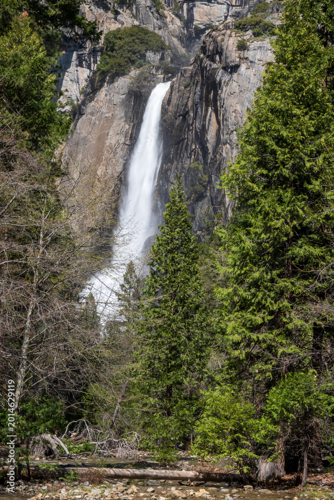 Obraz premium Waterfall flows down Lower Yosemite Falls
