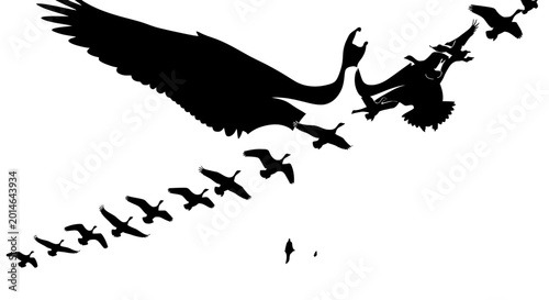 Quadro em tela Black silhouettes of birds in flight, forming a V-shaped formation