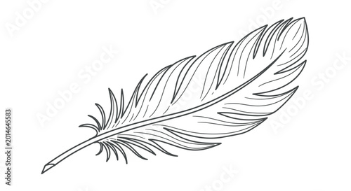 Photos Single delicate quill pen drawing on a white background