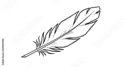 Fotografía A delicate, hand-drawn feather with a slightly rough, inked outline