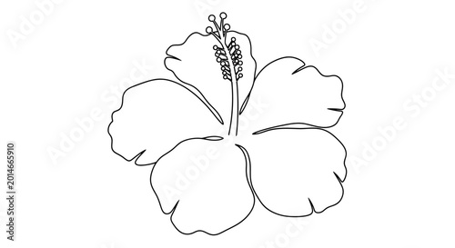 Black and white line drawing of a blooming hibiscus flower with center stamen