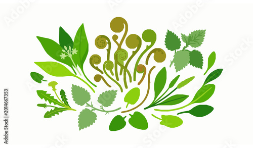 Tableau sur toile A modern cartoon style vector set featuring wild vegetables and curled bracken shoots displayed in a balanced arrangement on a solid white background