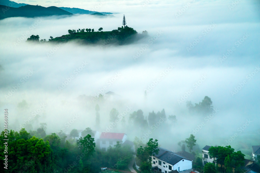 Fototapeta premium landscape with fog