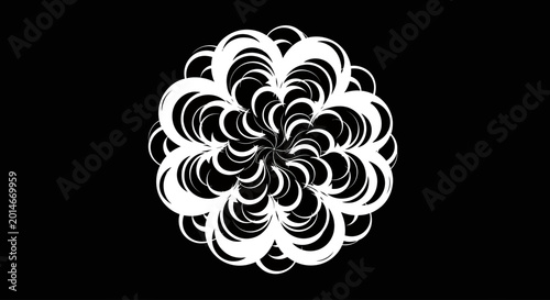 Obraz na płótnie Intricate white swirling abstract circular pattern on a black background