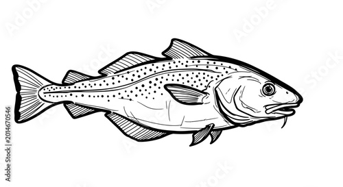 Принти на полотні Hand-drawn sketch of a cod fish illustration, isolated on white background