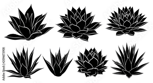 Konstfotografi Set of Black Silhouettes of Agave Plants, Succulents, Desert Flora Graphic Eleme