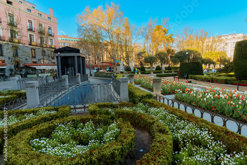 Colorful Tulip Garden in Plaza de Oriente Madrid Spain