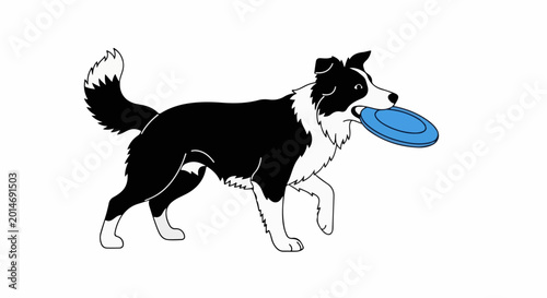A black and white dog with a blue frisbee in its mouth is running