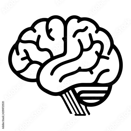 Foto Brain vector