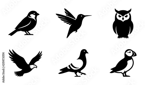 Fotografi Diverse Bird Silhouettes Vector Pack: Sparrow, Hummingbird, Owl, Eagle, Pigeon,