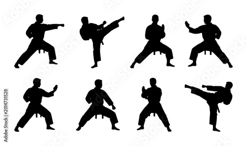 Photos Karate Silhouette Icons, Martial Arts Poses Vector Set, Dynamic Combat Action Fi