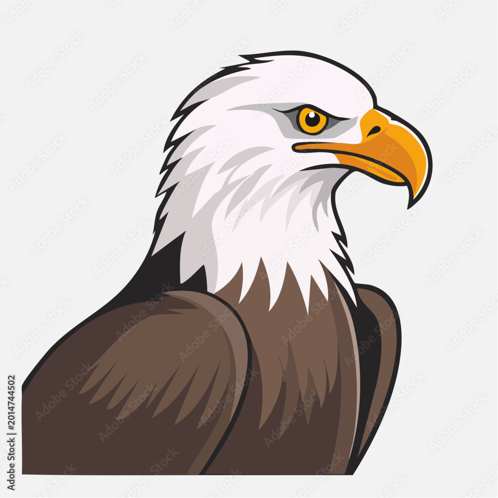Obraz premium Bald Eagle Illustration