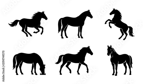 Bild auf Leinwand Diverse Horse Silhouettes Collection, Galloping and Standing Equine Vector Icons