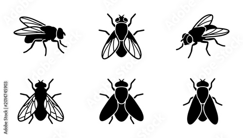Fotografía Vector Icons Set: Six Detailed Fly Illustrations, Insect Silhouettes for Pest Co