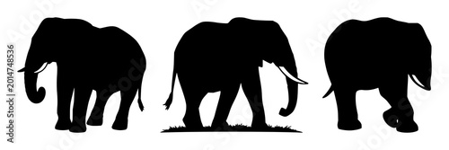 Bild auf Leinwand Elephant conservation set with solid black icon on white background featuring wi