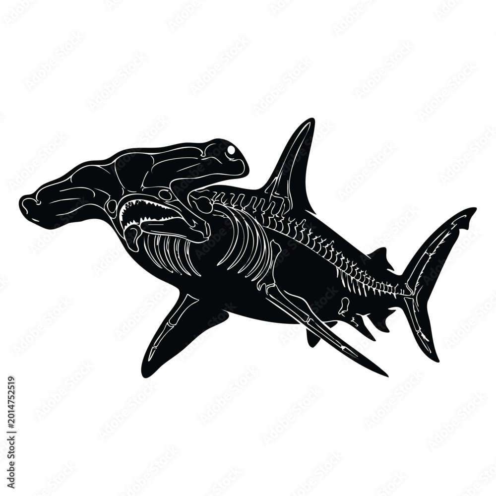 Fototapeta premium Graphic silhouette of hammerhead shark featuring visible skeleton anatomy.