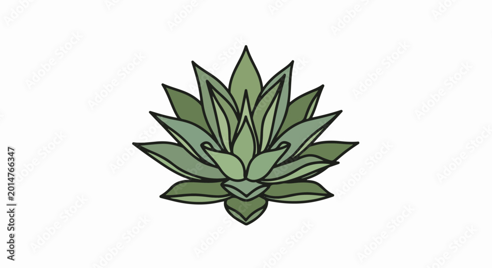 Fototapeta premium Stylized green succulent plant with layered leaves on white background
