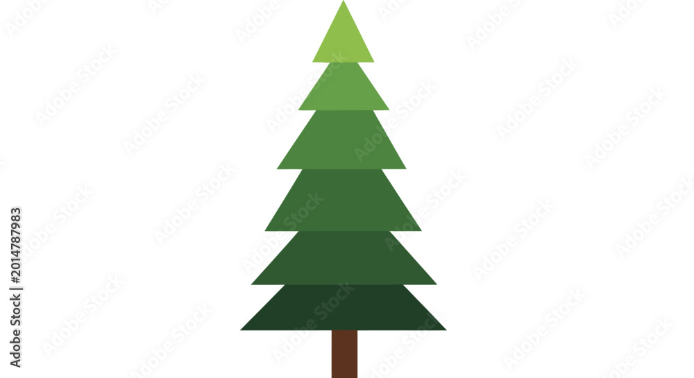 Obraz premium Green Pine Tree Evergreen Forest Foliage.