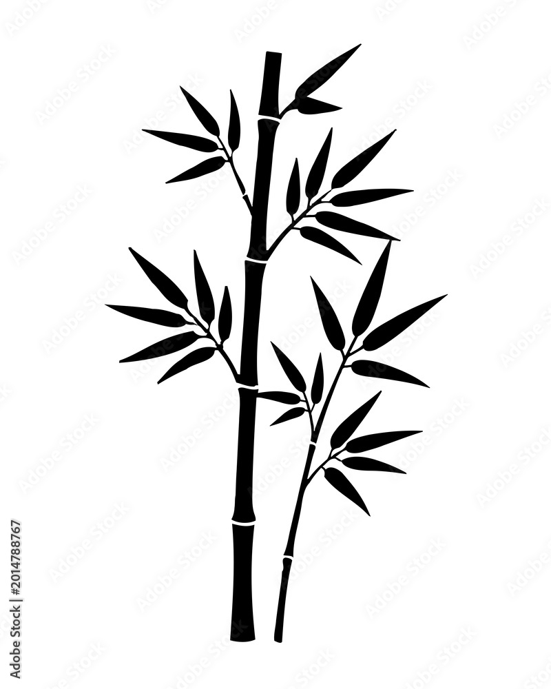 Fototapeta premium Black bamboo stalks with leaves on a white background 86.jpg