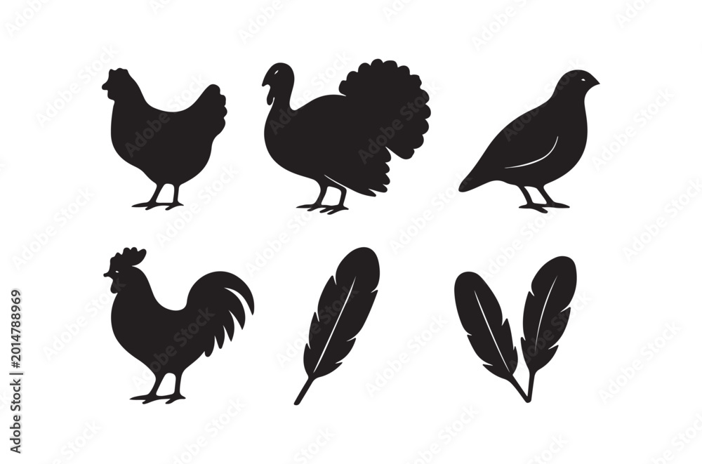 Obraz premium Bird silhouettes collection with rooster hen turkey and feathers