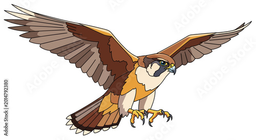 Fotografie Brown Falcon Bird of Prey Flying with Wings Spread, Isolated on White