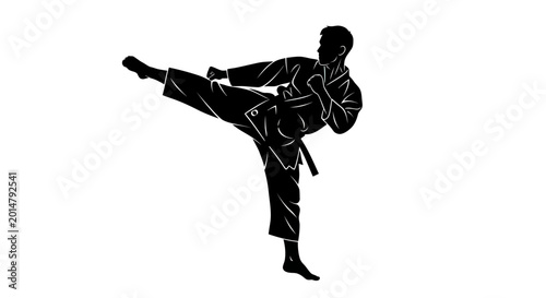 Foto Martial Arts Silhouette: Karateka Performing Dynamic Side Kick