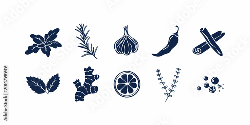 Hand drawn spice and herb illustrations with botanical elements on a white background