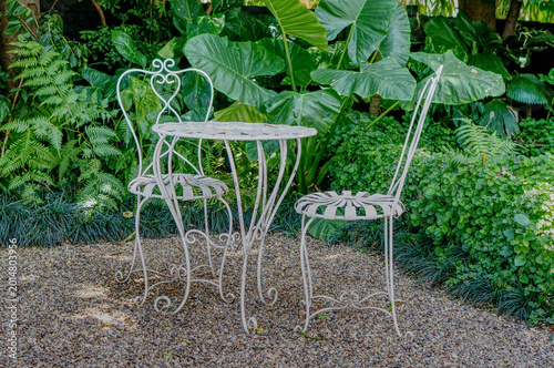 A charming garden scene featuring a table and chairs set, surrounded by lush greenery