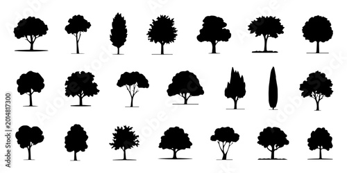 Photography various deciduous trees silhouettes on the white background